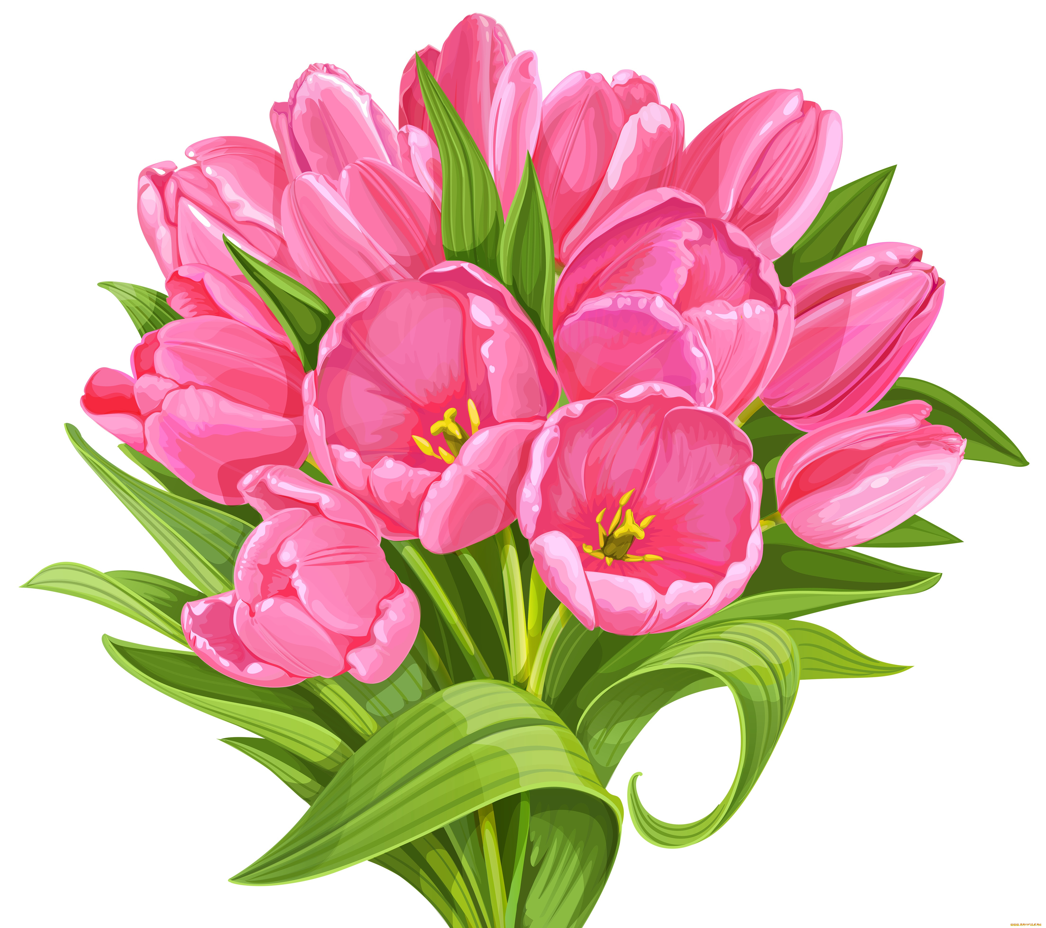  ,  , flowers, , 